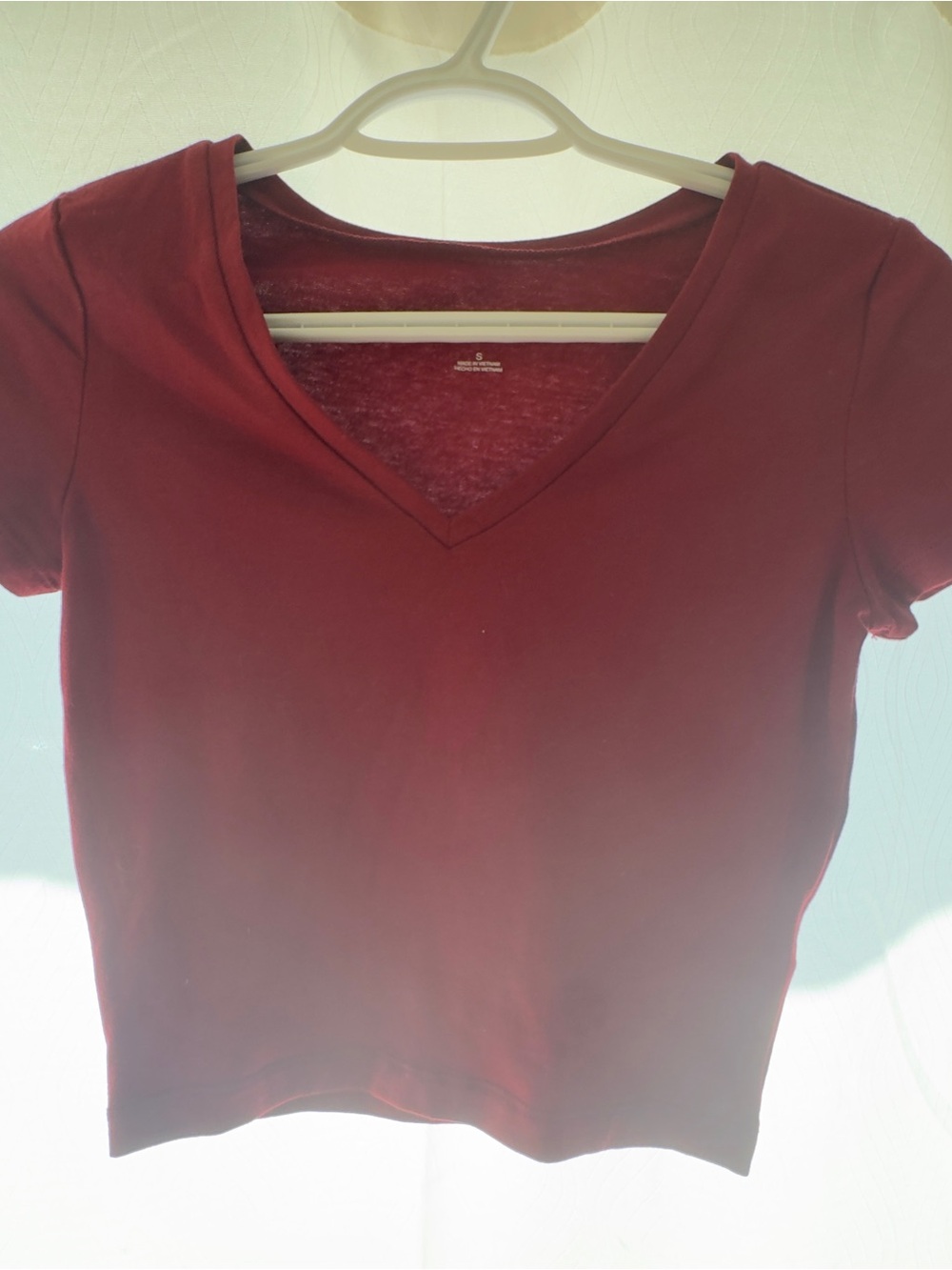 wild fable Wine Red V-Neck Cropped Tee
